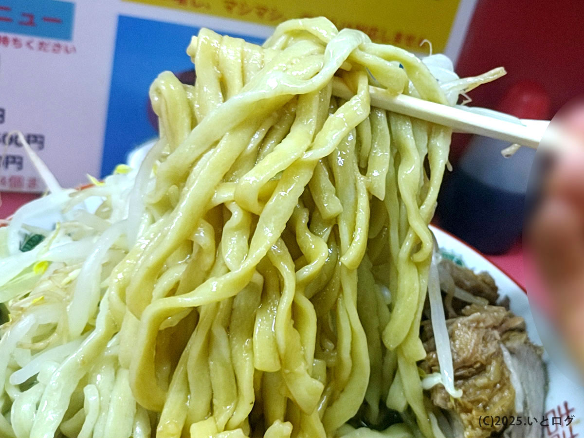 ラーメン二郎 小岩店のワシワシした極太麺を持ち上げた様子。非乳化寄りのスープをまとった小岩二郎らしい麺量の迫力を伝えるワンシーン。