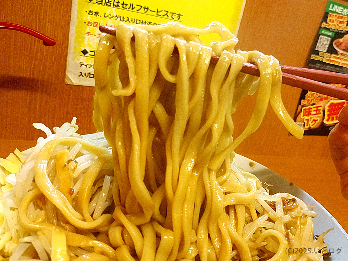 力強く持ち上げられる極太麺。もちもち食感と艶やかなコシが際立ち、富山の人気店「麺屋豚道場ぶた壱」らしいボリューム感。ぶた壱の小ラーメンや豚ラーメンの迫力を伝える一枚。