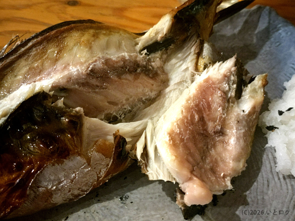 越前鮮魚店 福井片町店で注文した脂の乗った焼きサバ　福井市で魚が美味しい居酒屋の人気メニュー