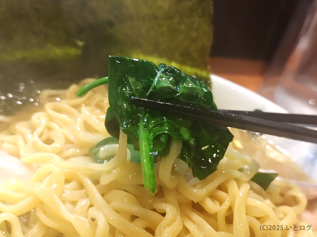 近接撮影：縮れ麺の上で黒い箸がほうれん草を持ち上げる、とさの家 ラーメンの瑞々しい一瞬。家系ラーメンとは思えない緑のアクセント。