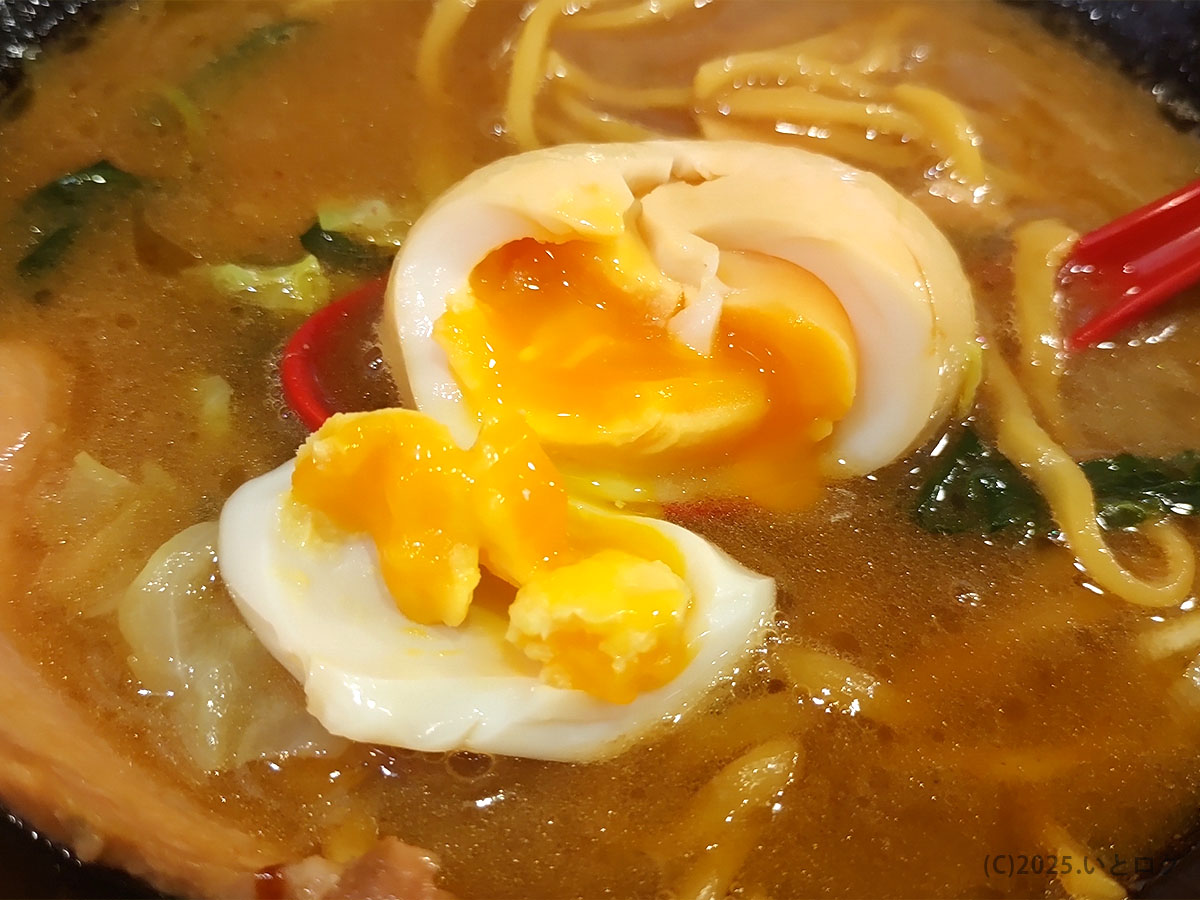 伯耆家の半熟味玉を割った断面。黄身がとろりと流れ出し、鳥取 家系ラーメンならではの濃厚スープに溶け込む。