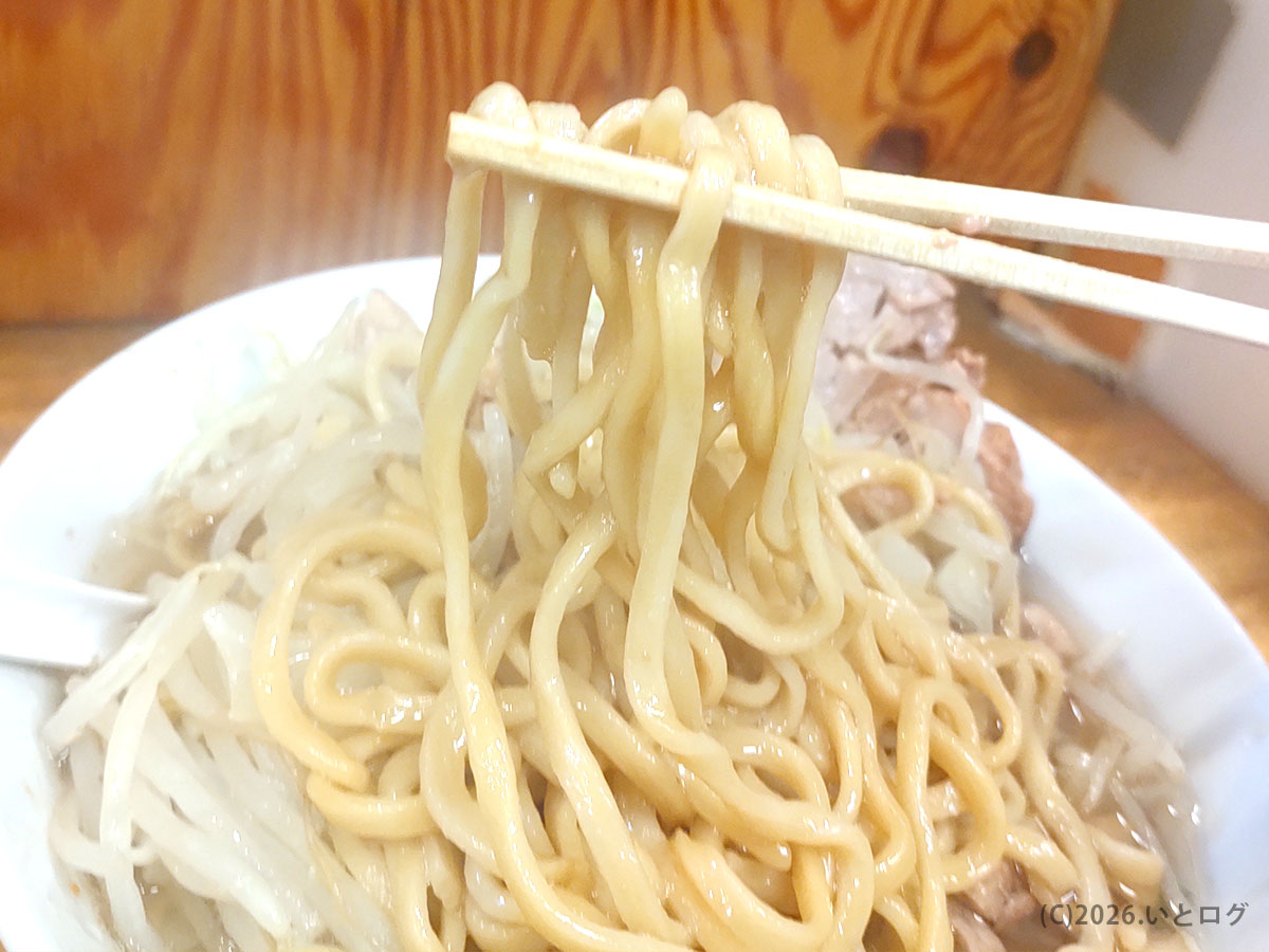 ラーメン二郎 前橋の極太麺を持ち上げた様子。二郎系ラーメンらしい力強い麺