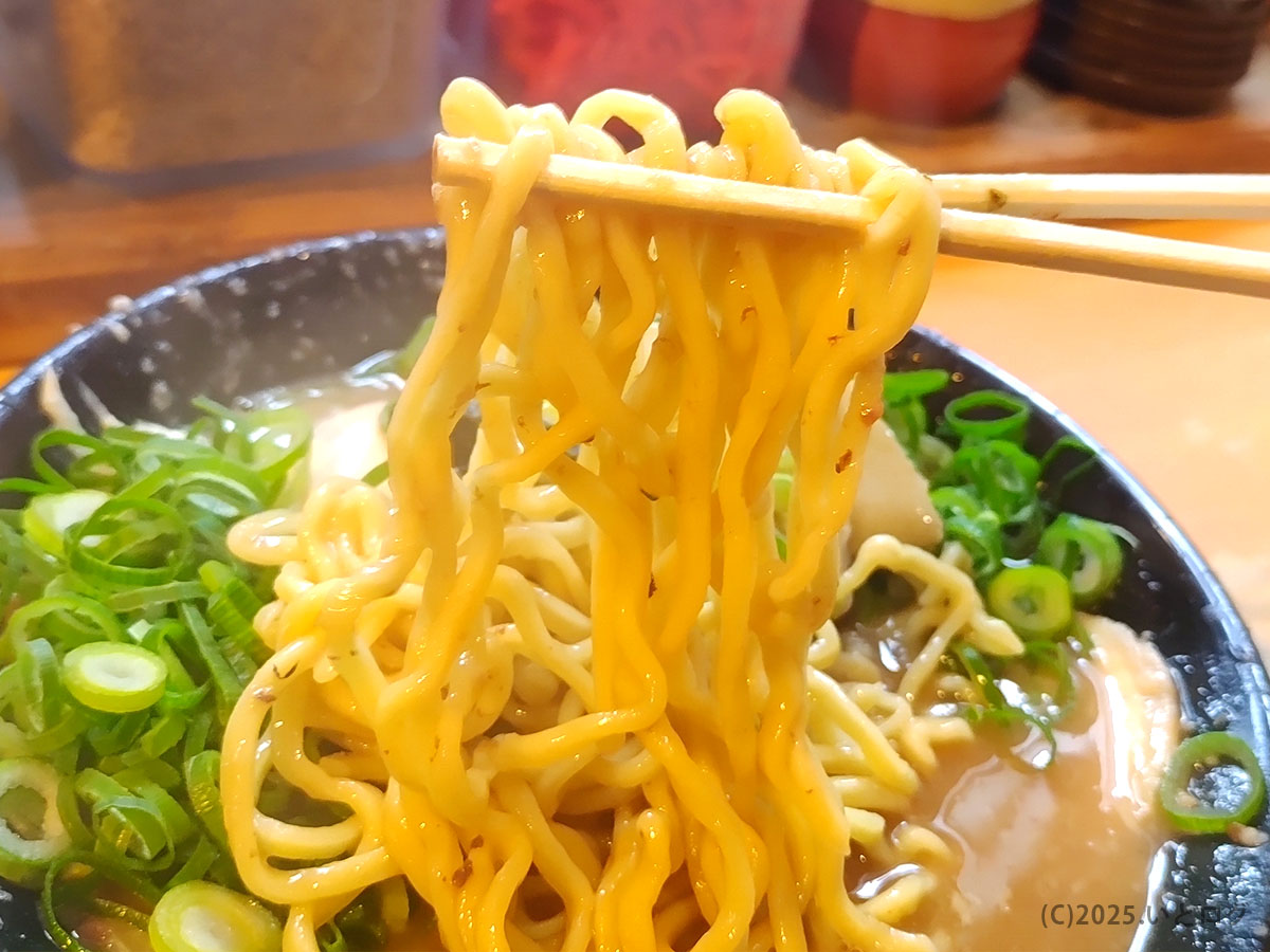 無鉄砲 がむしゃら 奈良