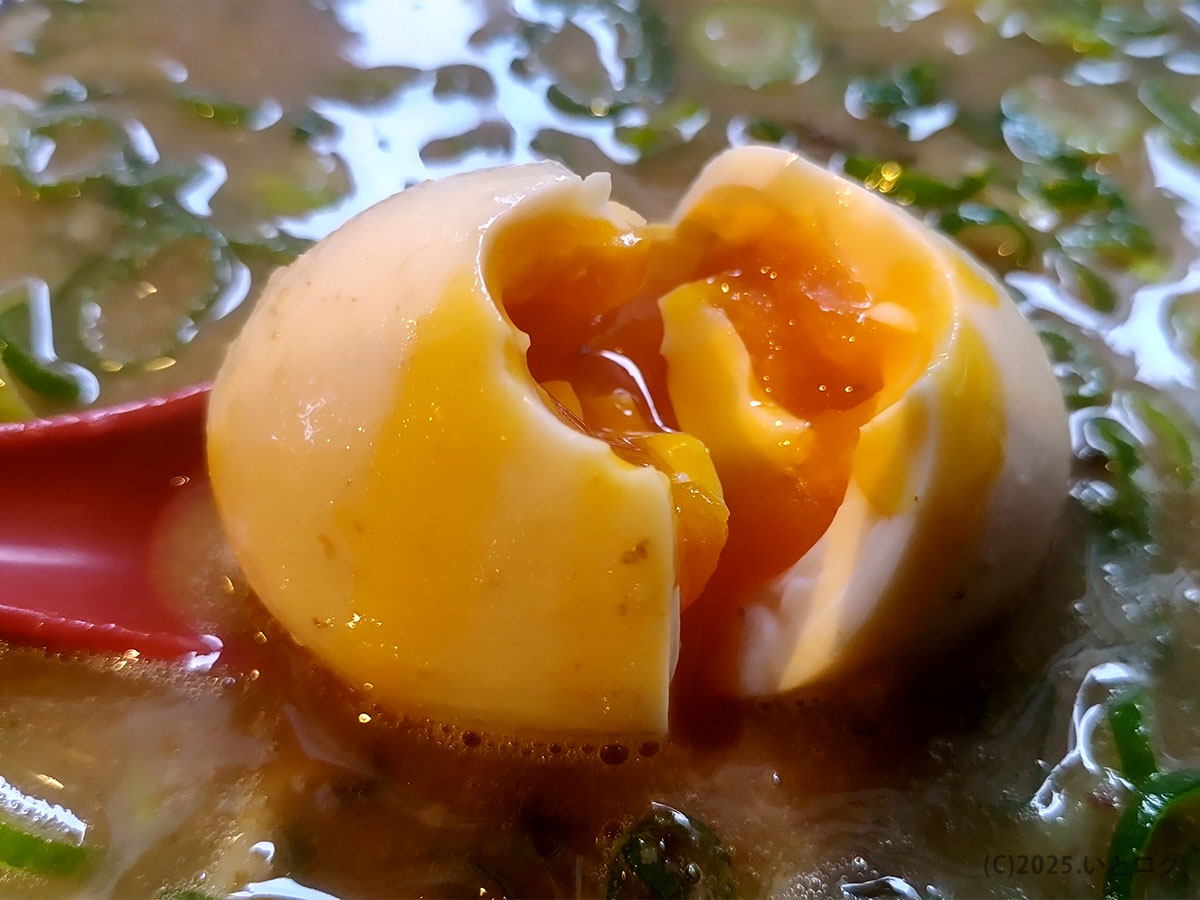 無鉄砲 がむしゃら 奈良 半熟味玉