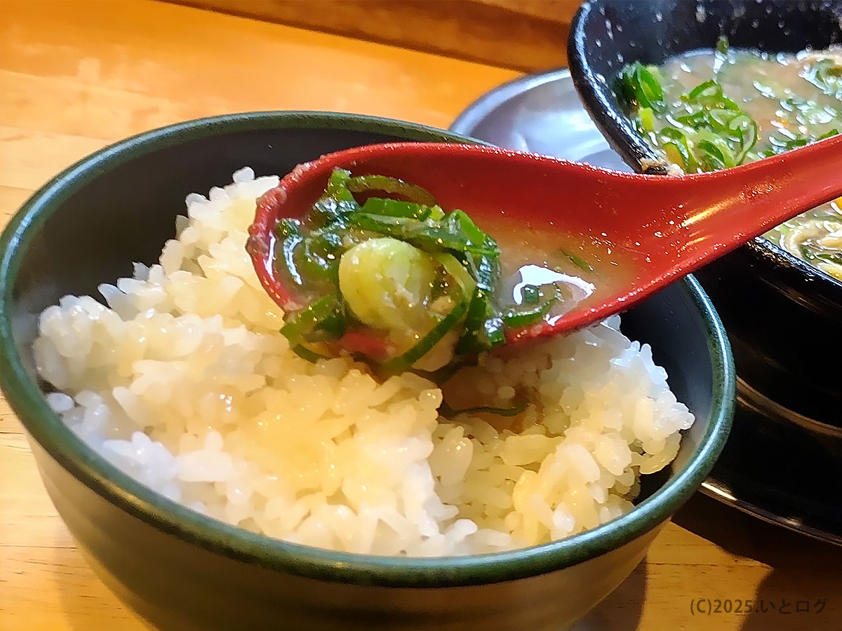 無鉄砲 がむしゃら 奈良 ネギ