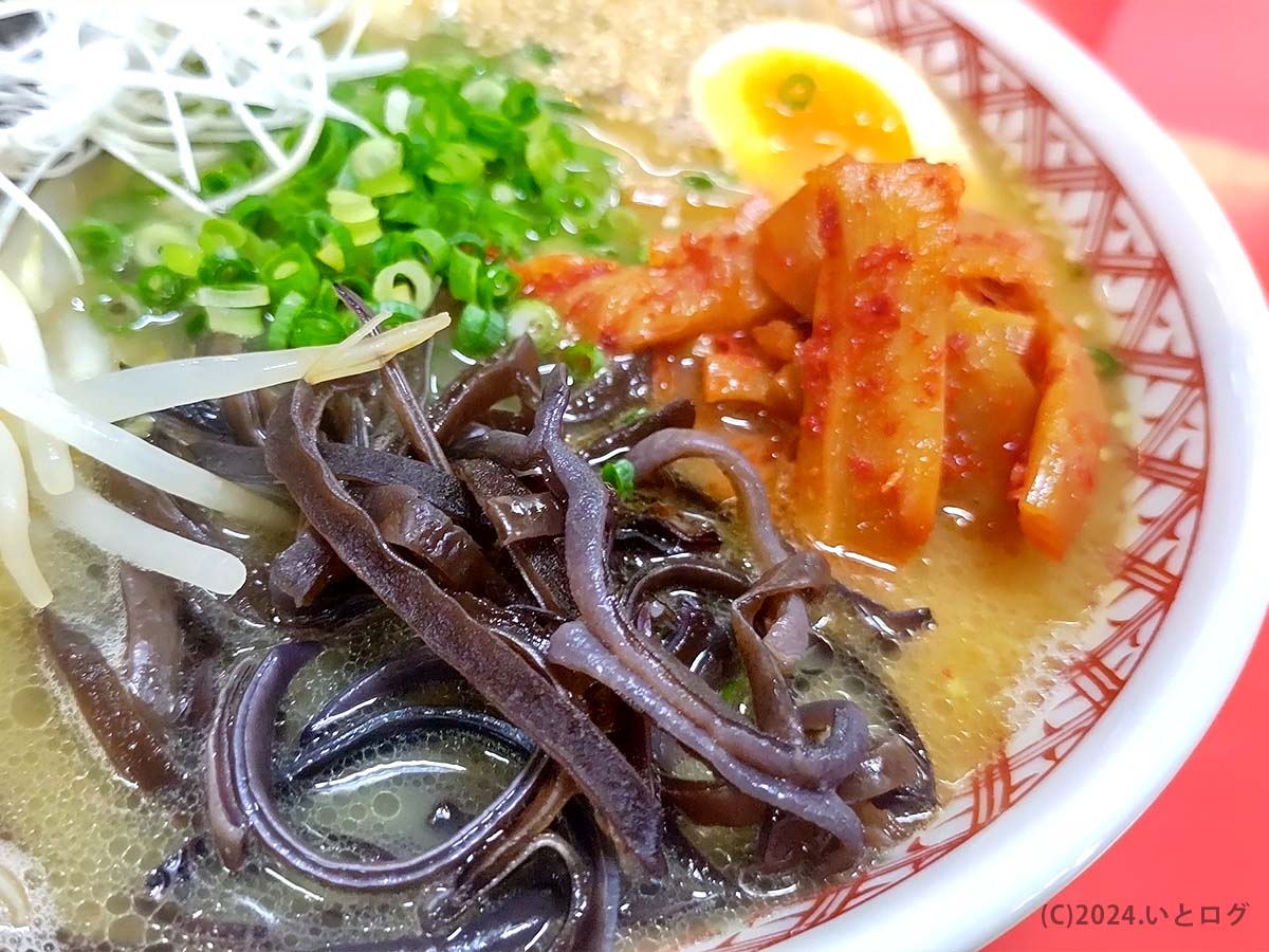 宝来軒　中津市　大分　きくらげ　