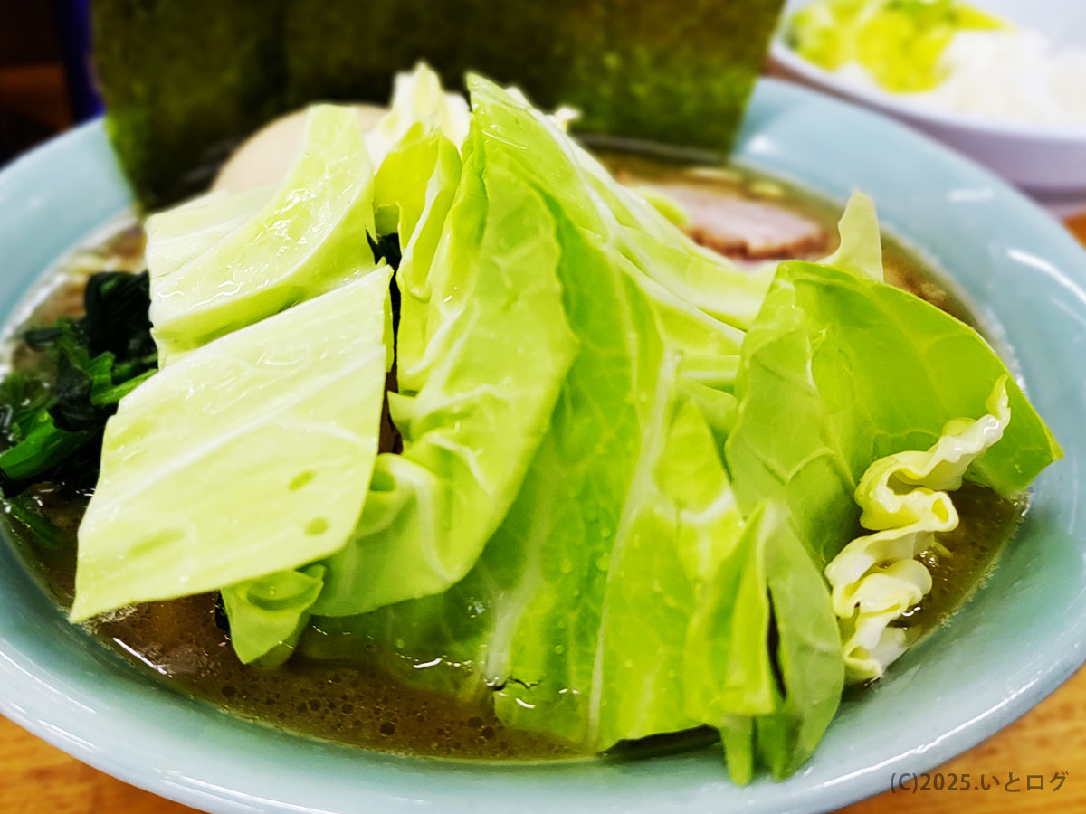 吉田家 伊東市 キャベツ