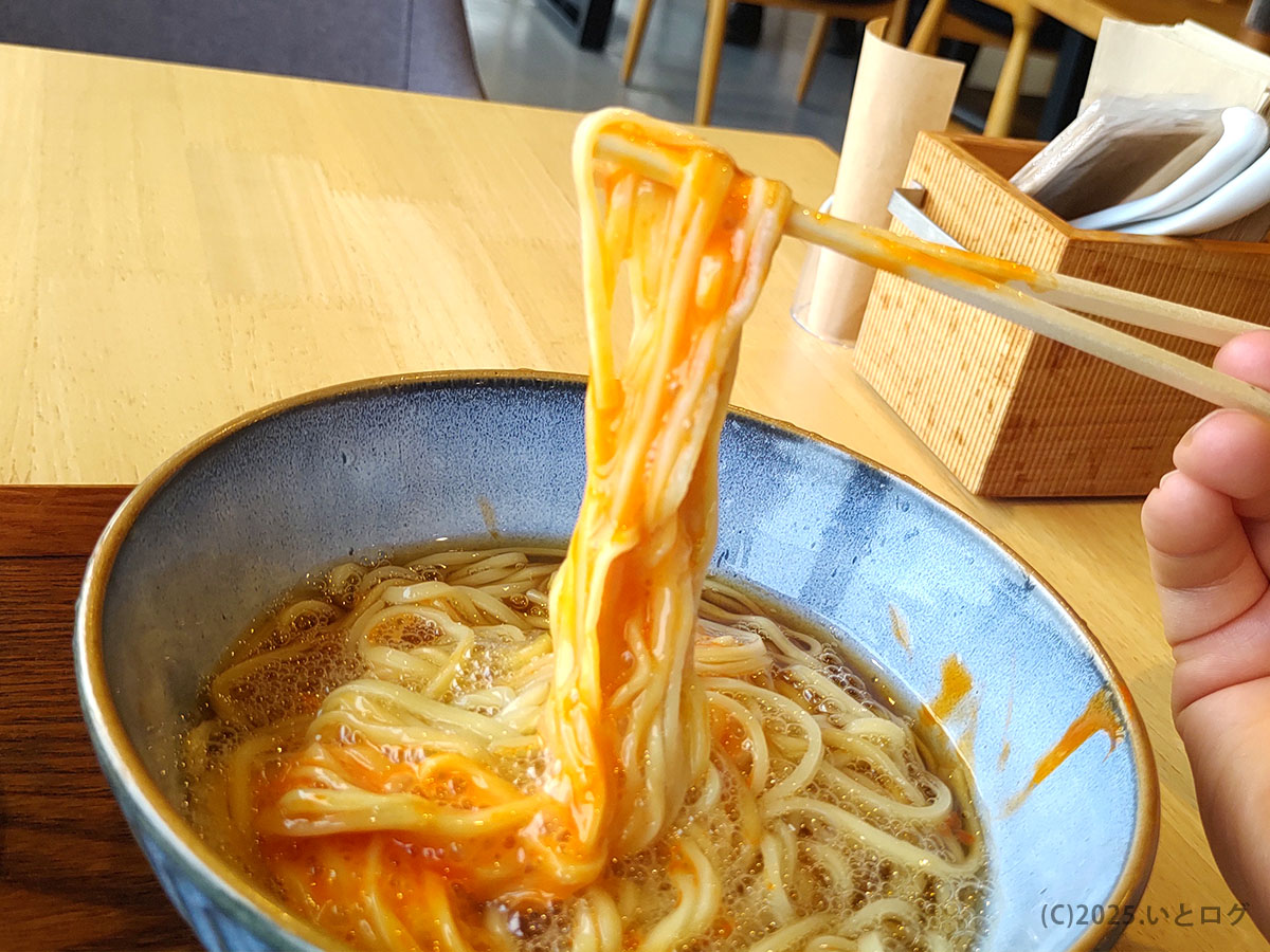 卵黄をまとった細麺をリフトアップ—宇佐美ラーメンカフェで味わう