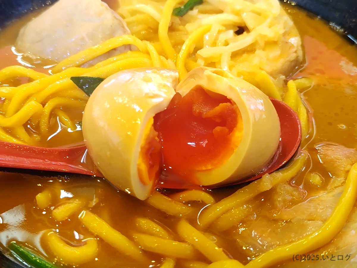 半熟の味玉がとろり。メニュー表でも人気のトッピングは濃厚スープと相性抜群、黄身のコクが太麺に絡んで“たつ家 家系”を底上げ