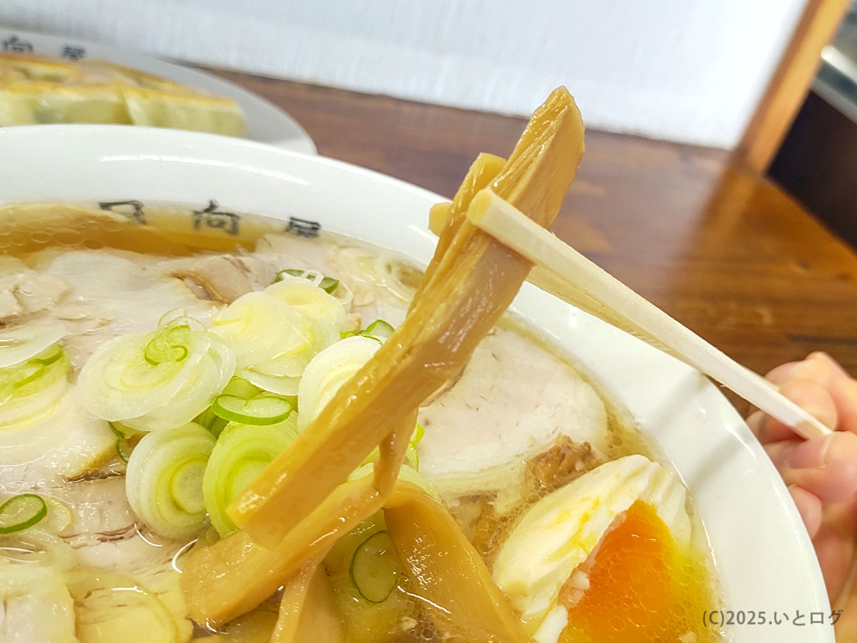 極太メンマを箸でリフト。コリコリ食感が青竹手打ち麺と好相性な日向屋の定番トッピング