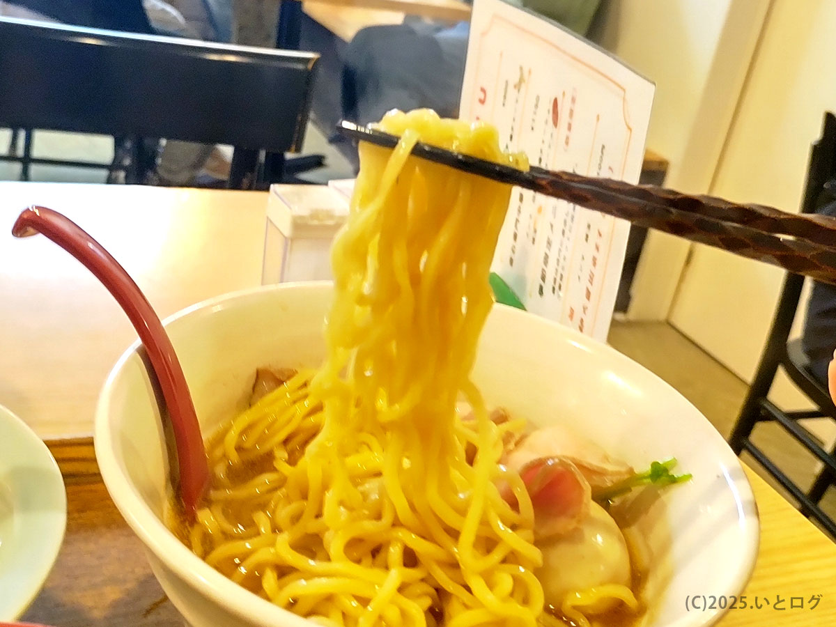 もちもち中太麺を勢いよくリフト。スープの光沢と麺肌の艶が食欲を刺激する。