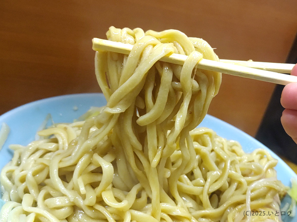 極太ちぢれ麺をリフトアップ。通常麺量でもこの迫力、二郎 立川 麺量の噂どおりのヘビー級。