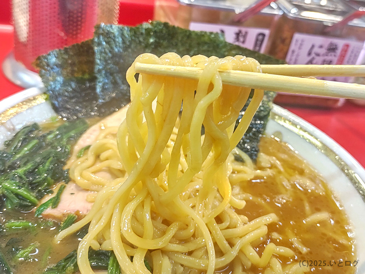 平打ち気味の太麺をつかむ瞬間。もちもち食感がスープを抱き込み、メニューの人気を支える主役感が伝わる。