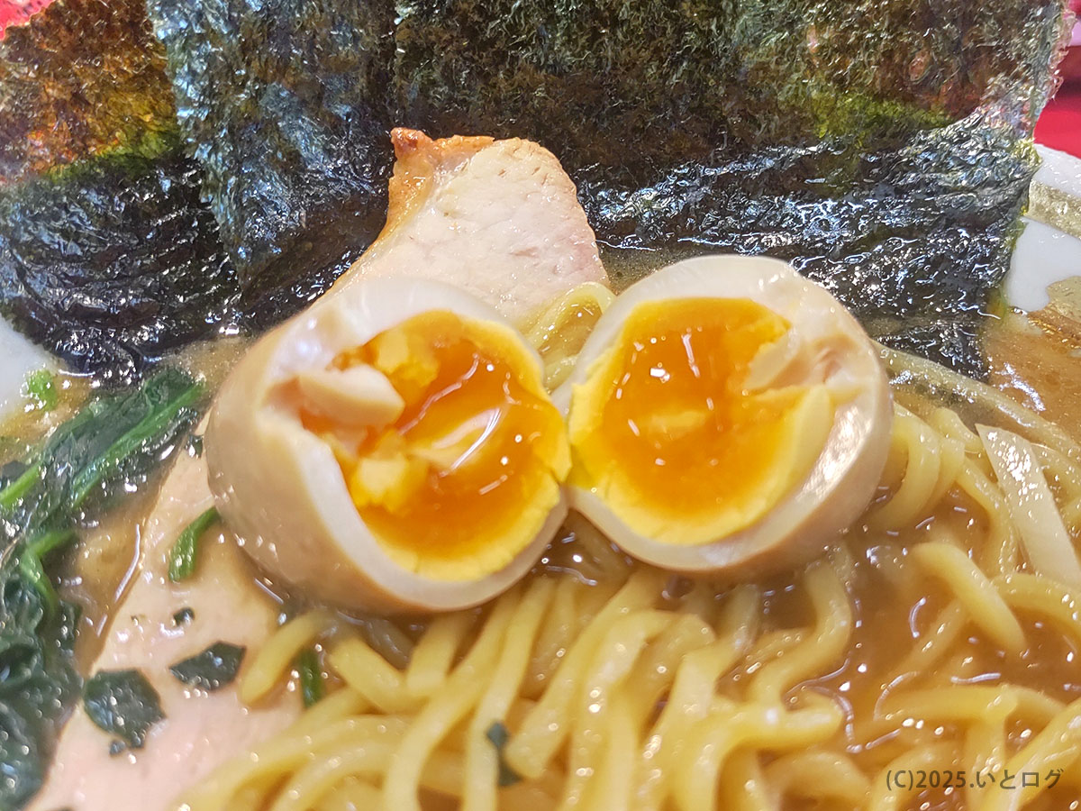 半熟味玉を割ると黄金色の黄身がとろり。近江道家ブログの記事にも映える、コク深いトッピングの断面。