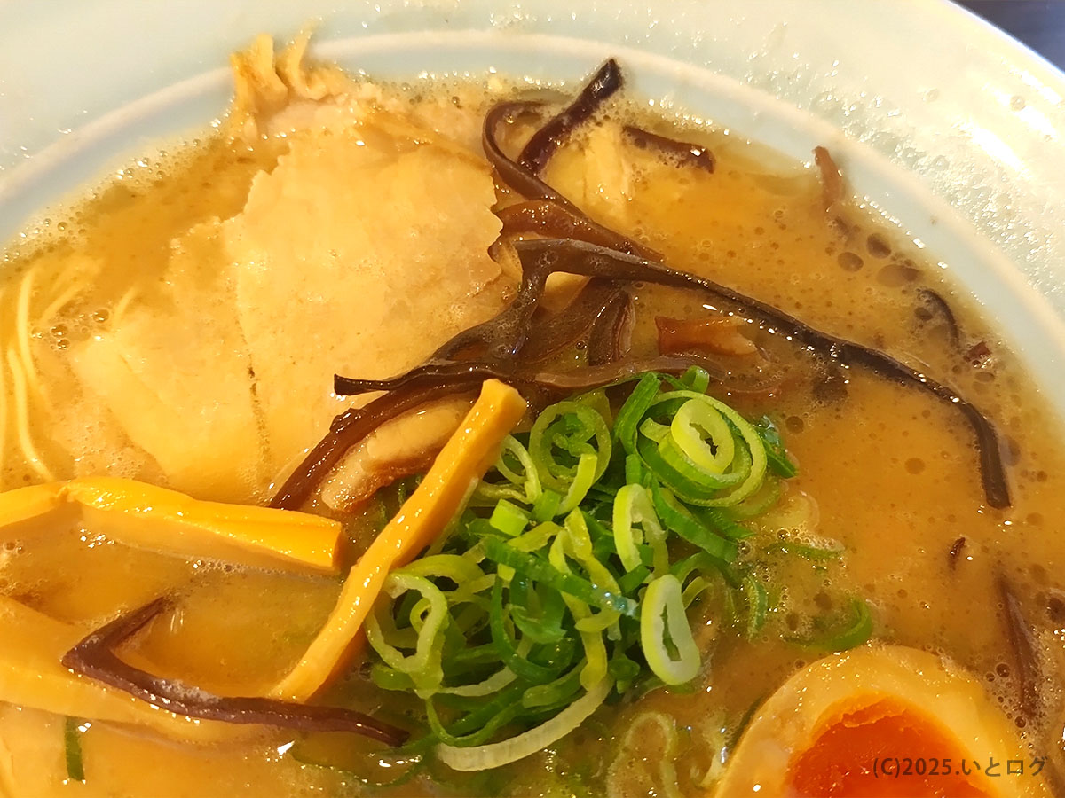 青ねぎ・きくらげ・メンマが映える丼面のクローズアップ。滋賀県草津市の博多とんこつ 真咲雄 ラーメン