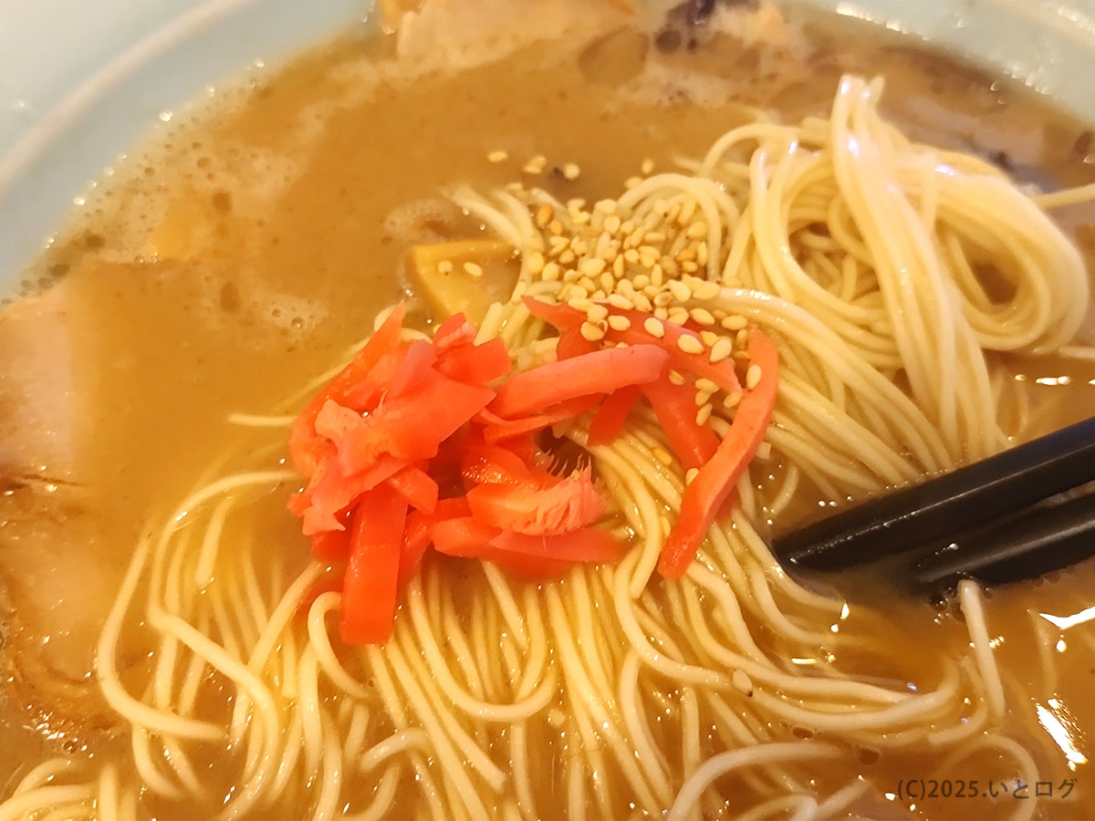 極細ストレート麺に紅しょうがと白ごまを添えたアップ。王道の博多ラーメンスタイル、真咲雄