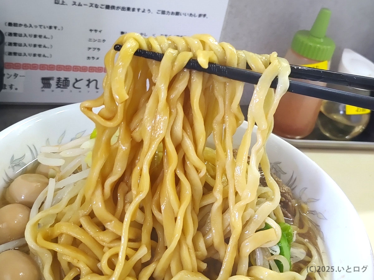 麺とれ 島田の極太ちぢれ麺を持ち上げた様子。小麦の香りが強く、二郎系らしい迫力がある。