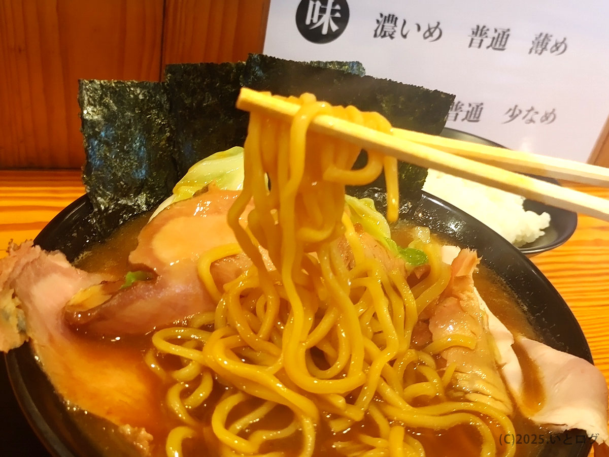 横浜家系ラーメン 伯耆家の太麺を箸で持ち上げた瞬間。濃厚スープが絡み、米子 家系ラーメンらしい力強さを感じる。