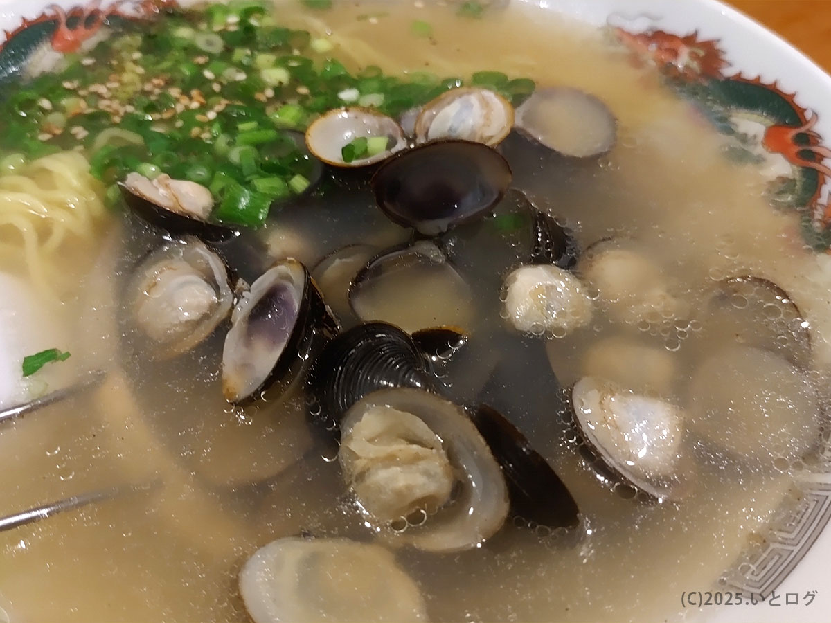 松江市の人気店トタン屋のしじみラーメン。たっぷりのしじみが入った透き通るスープが特徴で、松江しじみラーメンランキングでもおすすめの一杯。
