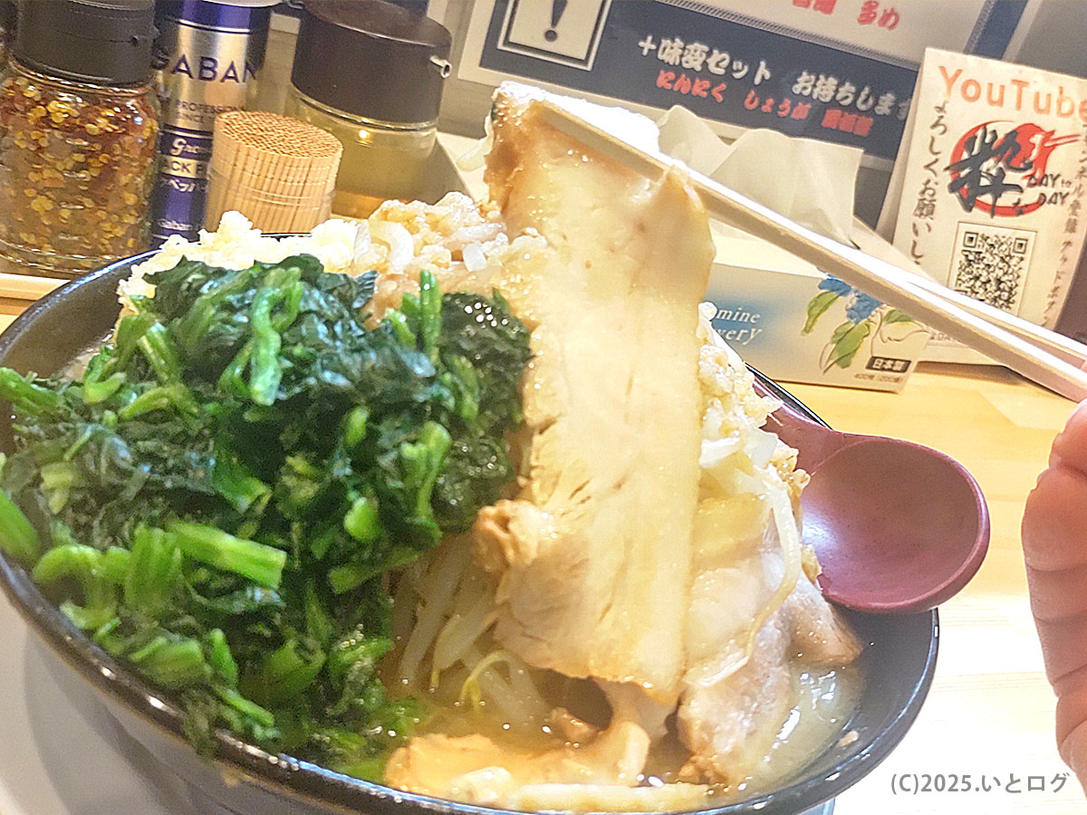 粋麺せんじゅ レビュー。分厚いチャーシューを箸で持ち上げた様子。松江市で人気の食べ応えあるラーメン。