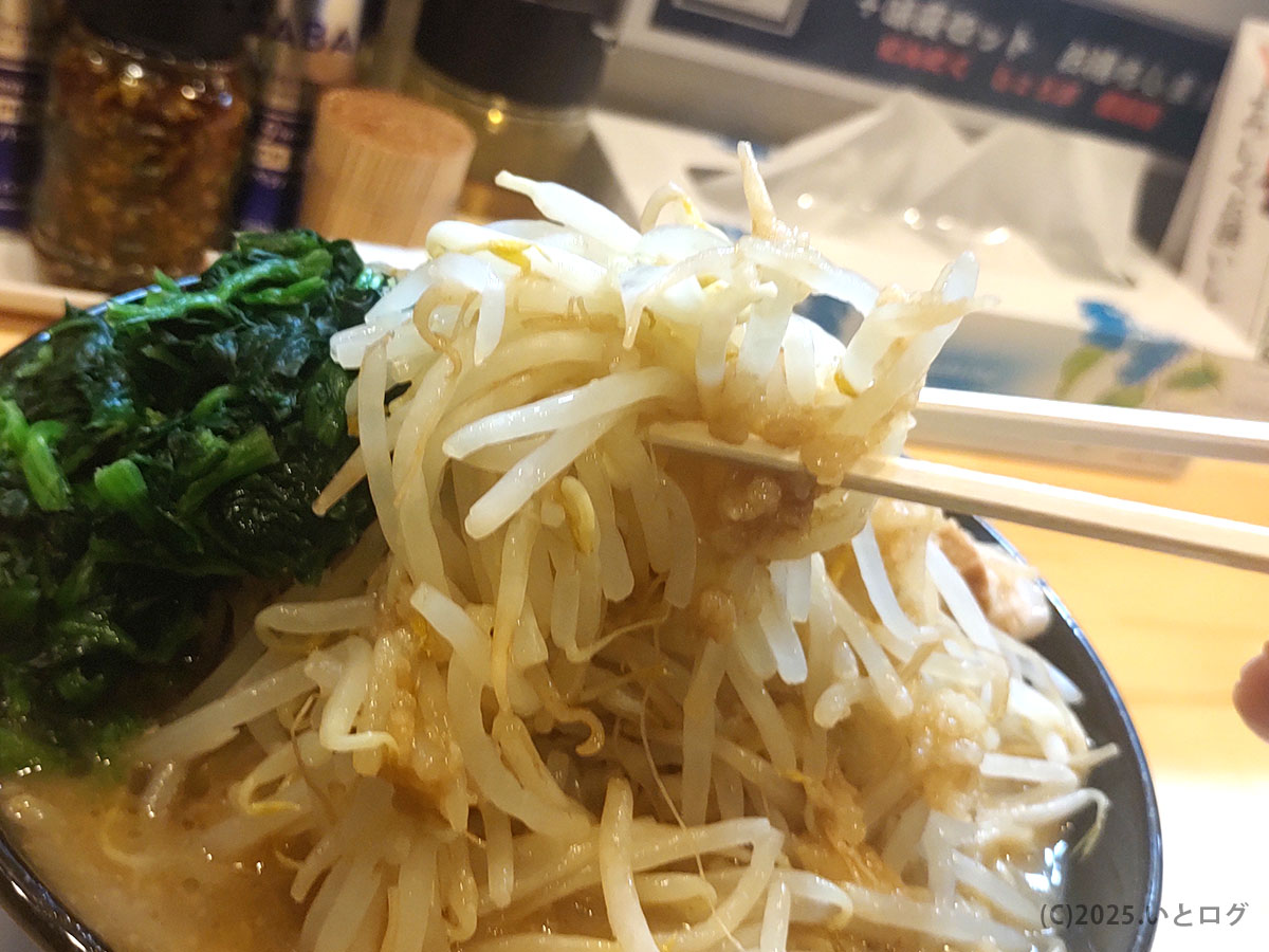 松江/ラーメン『粋麺せんじゅ』の名物、シャキシャキもやし。醤油豚骨スープを吸い、ボリューム満点。