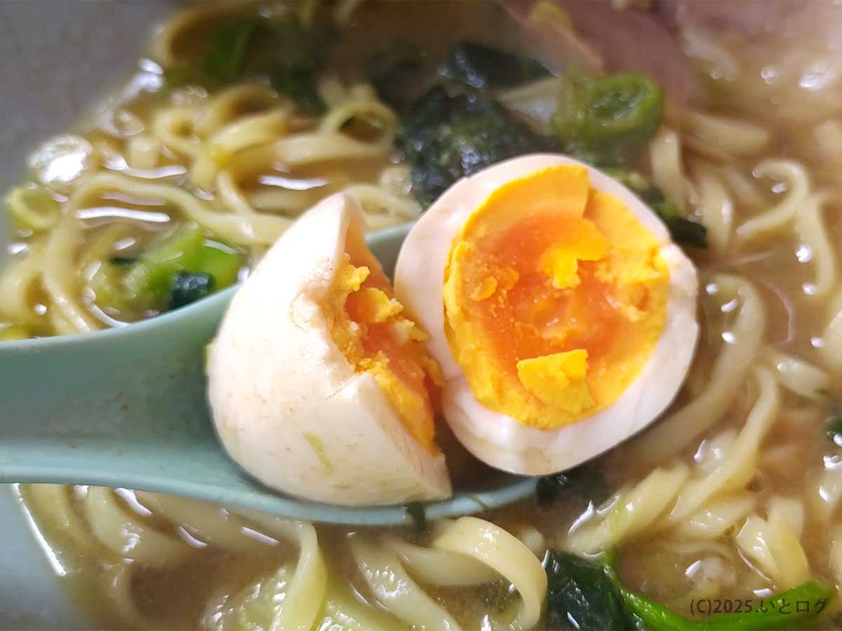 半分に割った味玉。黄身はしっとり、味がしみた仕上がりで、濃厚スープと相性抜群。ヤスシボーイ下松の家系ラーメンを彩る名脇役。