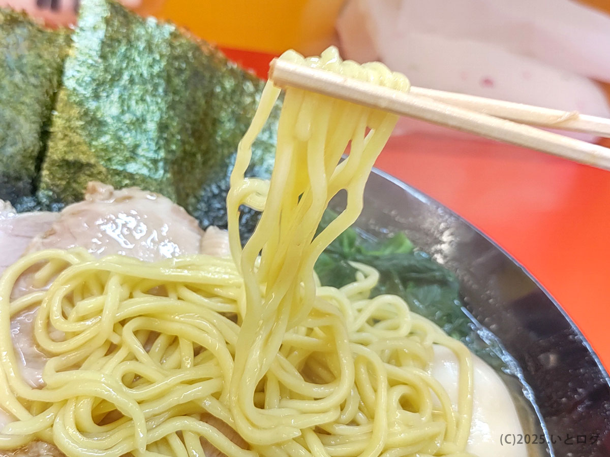 成瀬家の家系ラーメンの麺を箸で持ち上げた様子。中太ストレート麺にスープがよく絡み、岡山の家系図の中でも個性を放つ仕上がり。