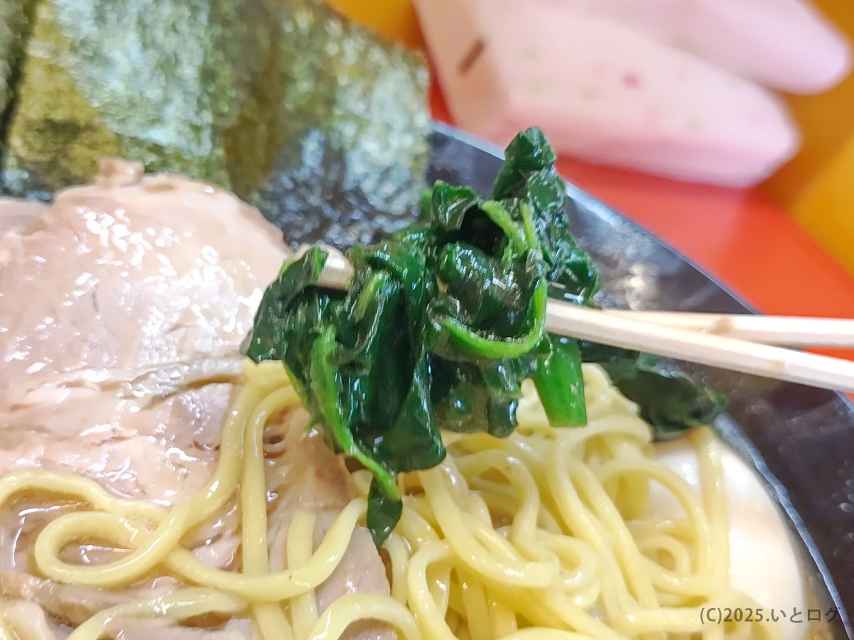 成瀬家ラーメンのトッピングである新鮮なほうれん草を箸で持ち上げた瞬間。スープを吸った青菜の香りが立ちのぼり、家系ならではの彩りを添える。