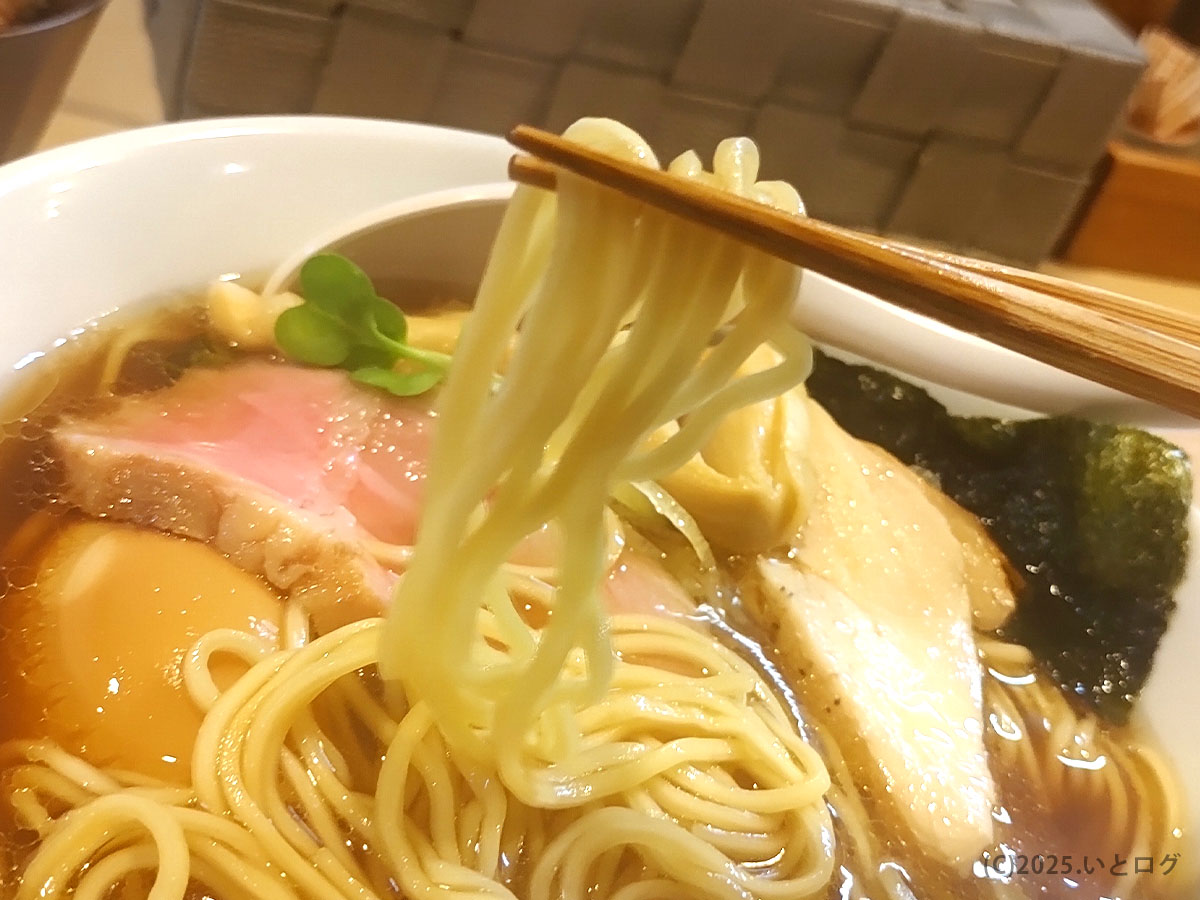 中細のストレート麺を持ち上げたシーン。しなやかなコシと表面の艶が伝わる/麺屋 鶯 uguisu 金沢