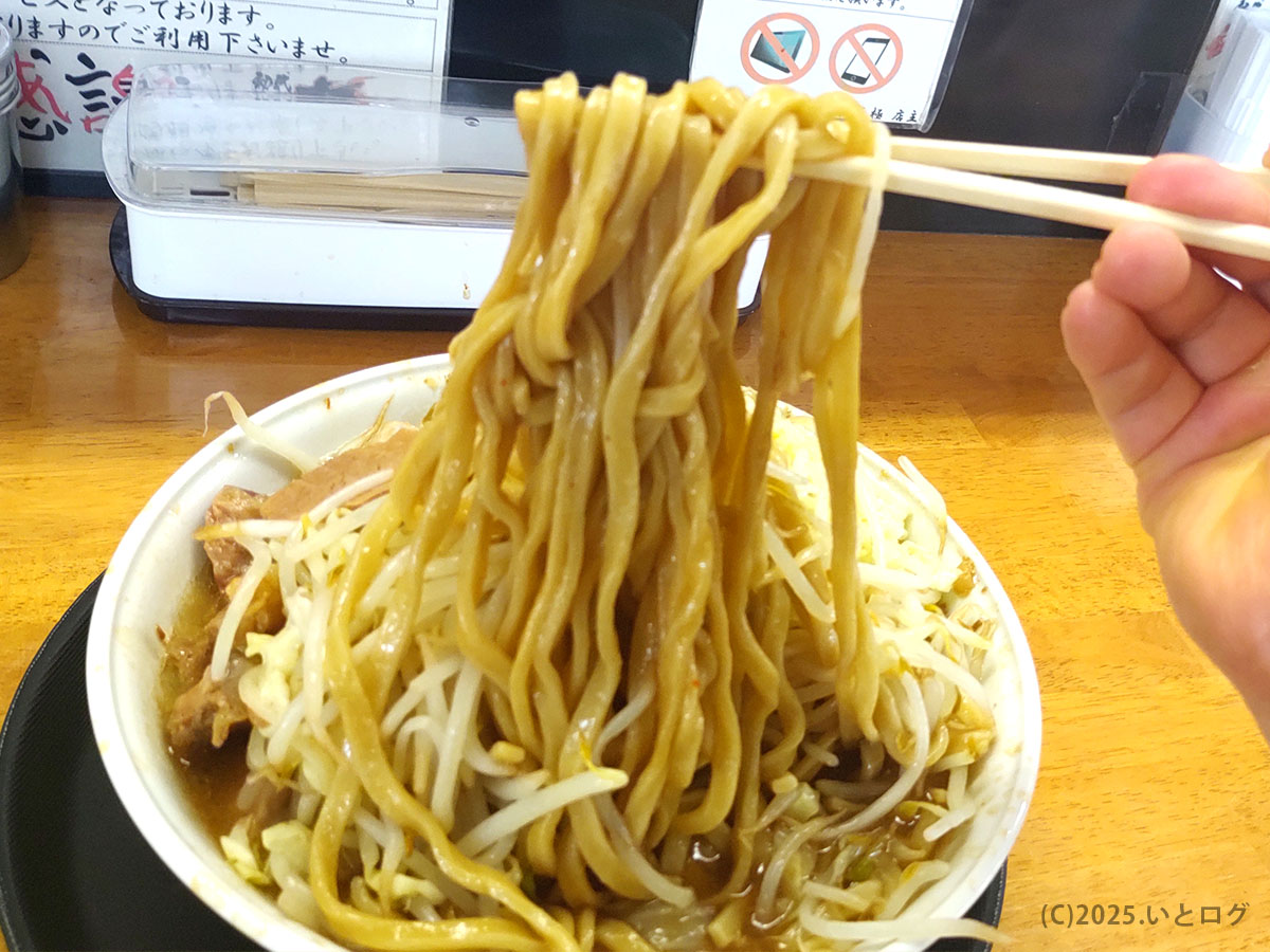 強靭な極太麺をワシッと持ち上げる瞬間。甘辛いタレをまとい湯気を立てる姿は「極 ラーメン」の重量感を物語り、野々市/ラーメン巡りの醍醐味。