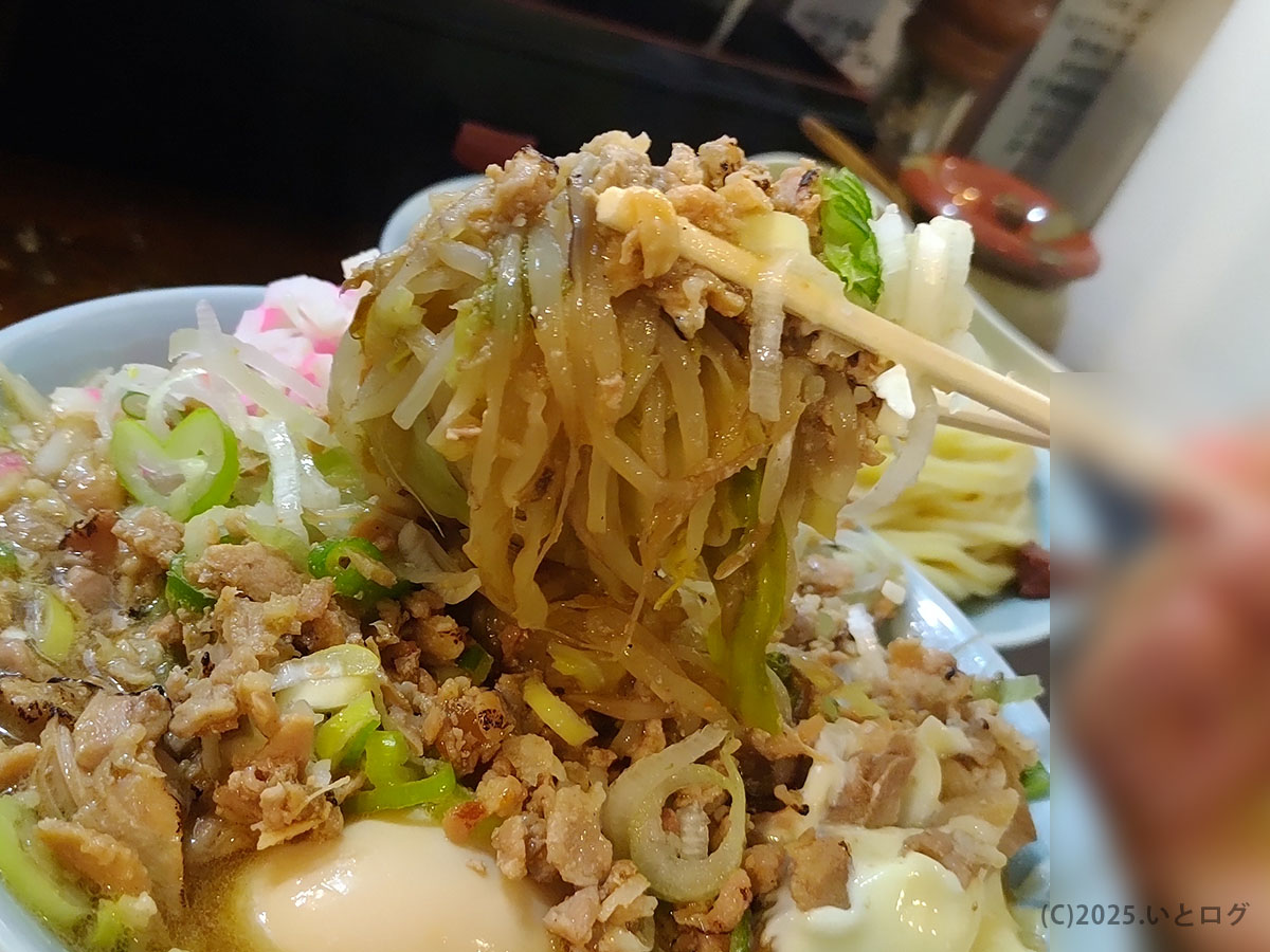 つけ麺紅葉 国分寺で人気の濃厚つけ麺。もっちり麺をスープに潜らせて持ち上げる瞬間。豚と魚介の香りが一気に広がる。
