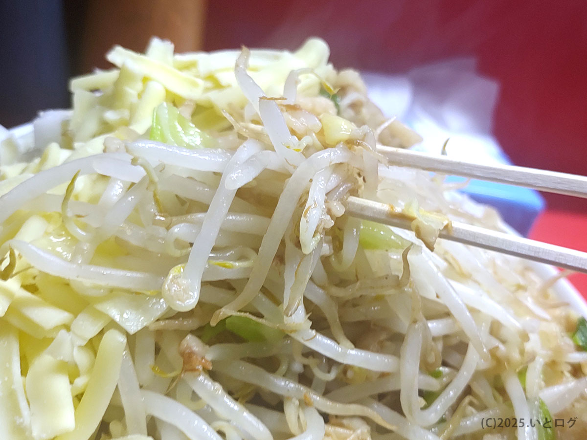 二郎 仙台 コールでヤサイマシにした状態のもやし＆キャベツの山。ラーメン二郎仙台の名物ボリューム感