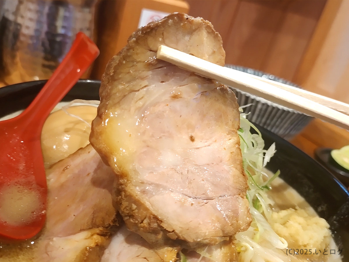 金曜日訪問時に持ち上げた分厚いチャーシュー。肉汁が滴り、味噌らぁめんの迫力を物語る。