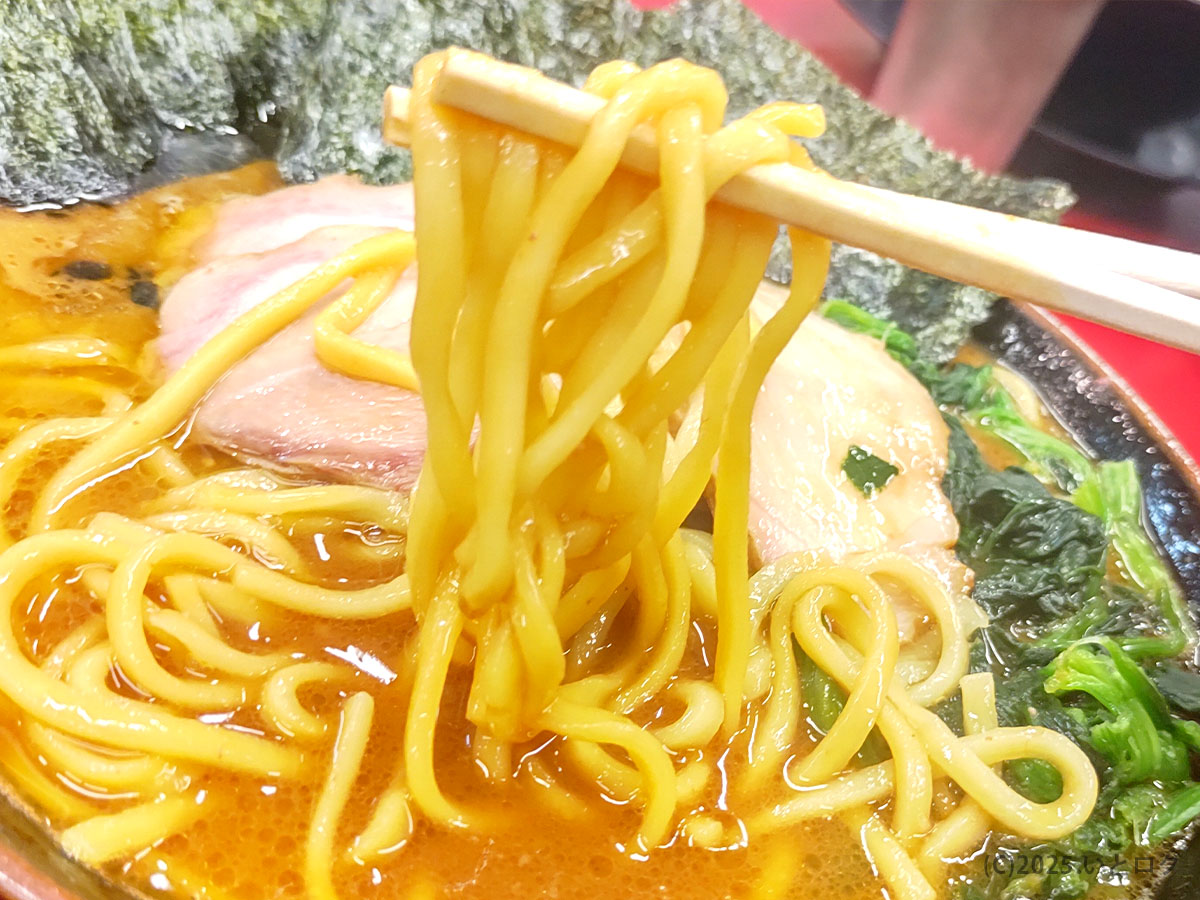 IEKEI TOKYOの家系ラーメンを代表する中太麺リフト。王道家直系の濃厚スープをしっかり絡め、秋葉原の行列必至店らしい迫力を感じる一杯。