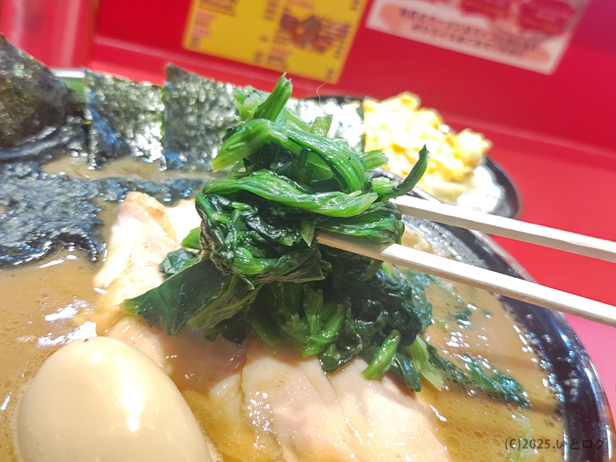 家系ラーメンの定番であるほうれん草を箸で持ち上げた様子。カズ家 大森の濃厚スープとの相性が良く、王道家味の継承店らしいバランスを感じられる。