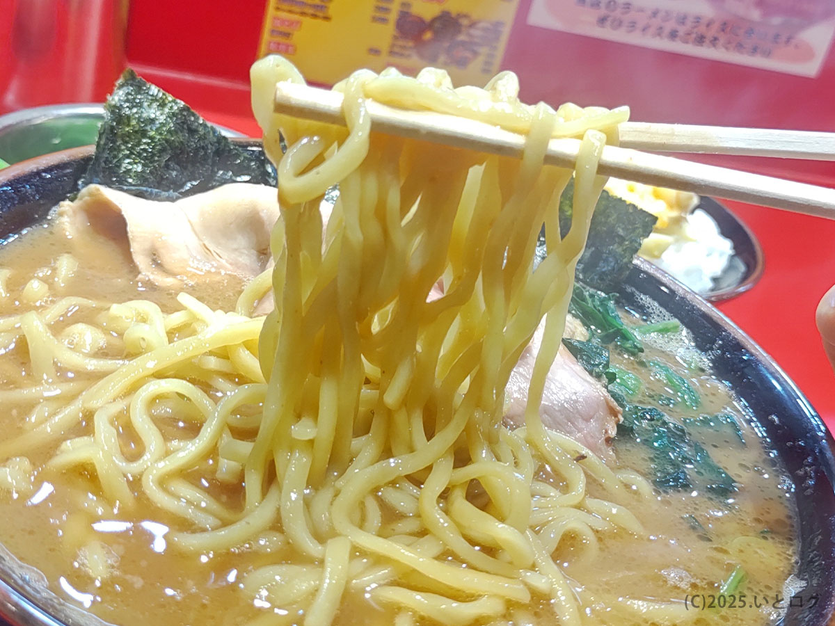 カズ家 大森店の家系ラーメンで麺を持ち上げた様子。モチモチした中太麺が濃厚スープによく絡み、カズ家ならではの力強い味が楽しめる。