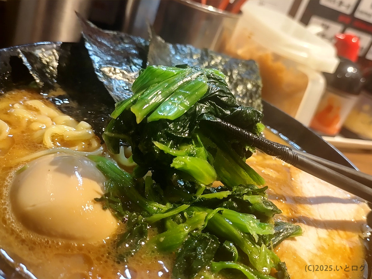 輝道家 水道橋店のラーメンのほうれん草を箸で持ち上げた様子。家系ラーメンらしい具材がスープとよく絡む。