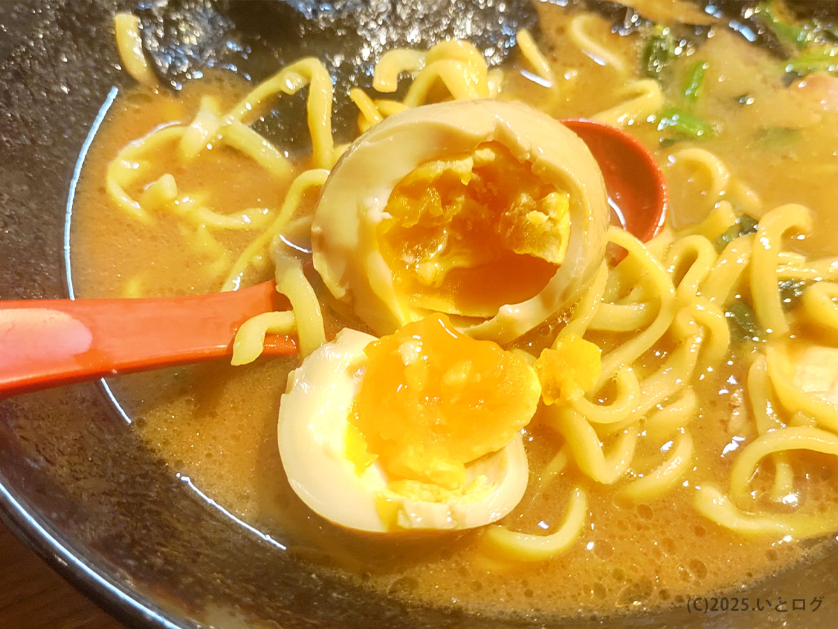 輝道家 水道橋店の半熟味玉を割った様子。濃いめの味付けが家系スープとぴったり合う。