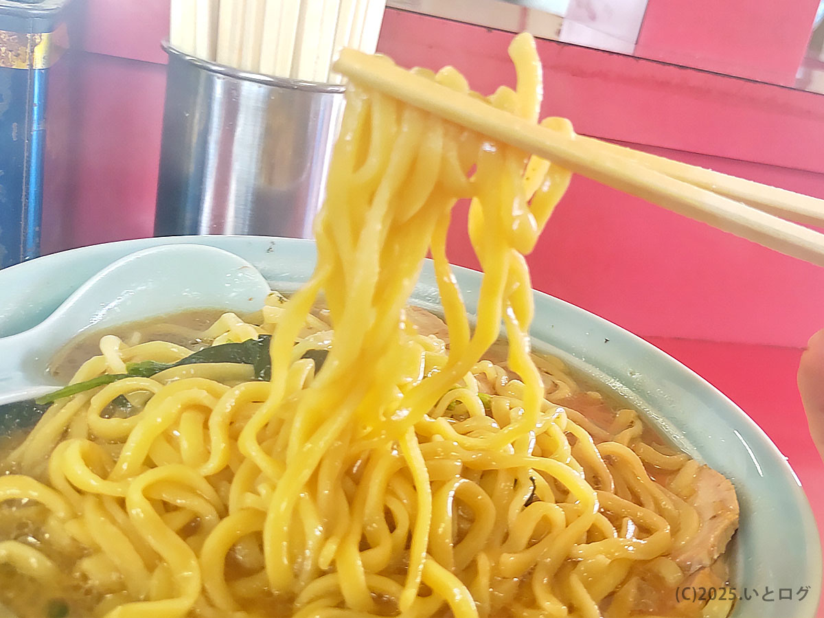 箸で上げた沼津家の太麺。家系ラーメンらしく「酒井製麺」を思わせるコシの強いタイプで、沼津家系の麺が吉村家直系と比較されることもある。スープとの絡みもレビューでは重要視される。