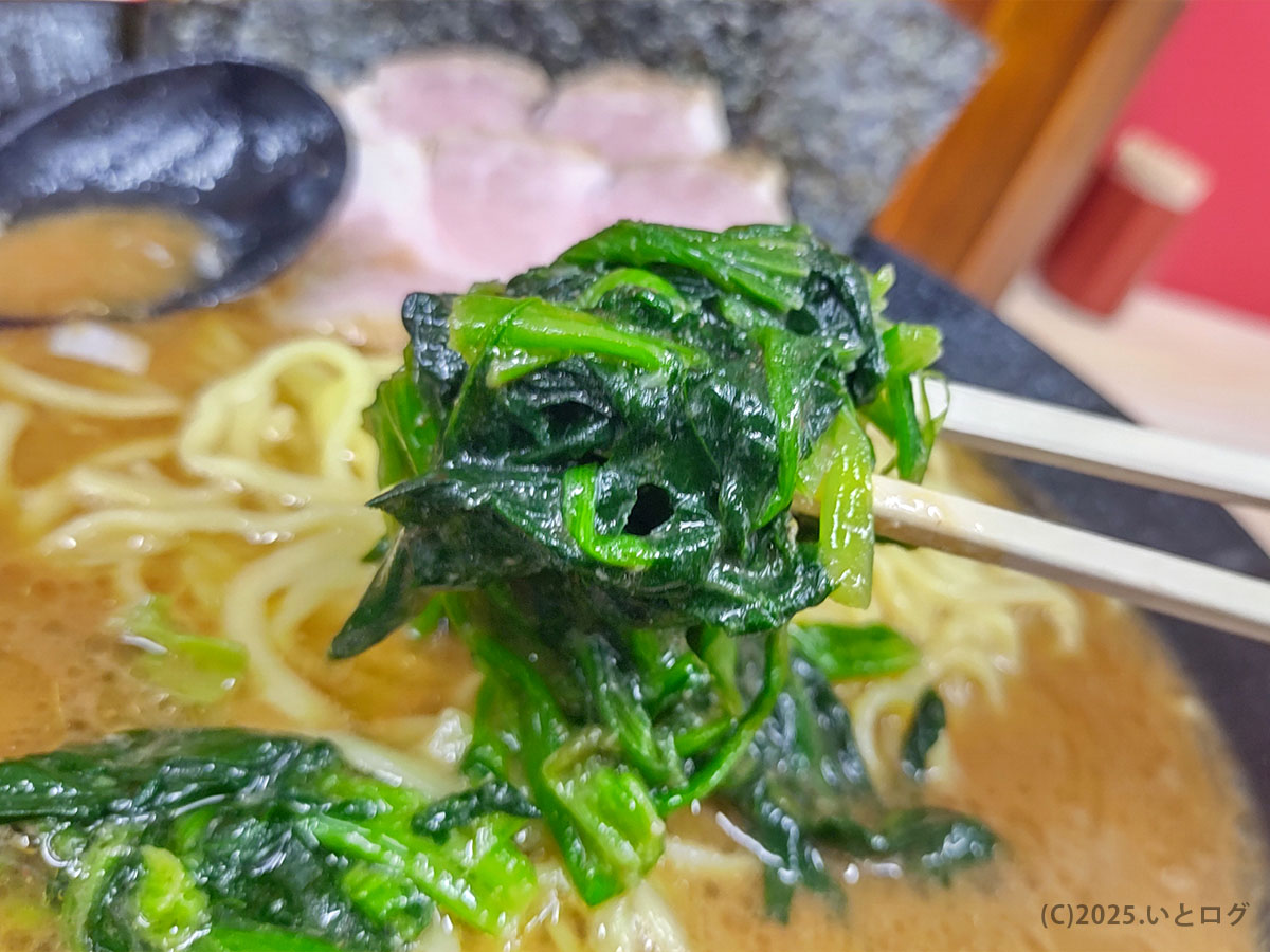 武道家 口(くにがまえ)国分寺のほうれん草を箸で持ち上げたところ。家系ラーメン定番の具材で、濃厚スープと相性抜群。国分寺で家系を楽しむなら外せないポイント。