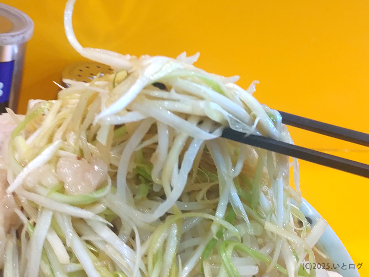 ラーメン二郎 野猿街道店のラーメン。シャキッとした野菜を箸で持ち上げた様子