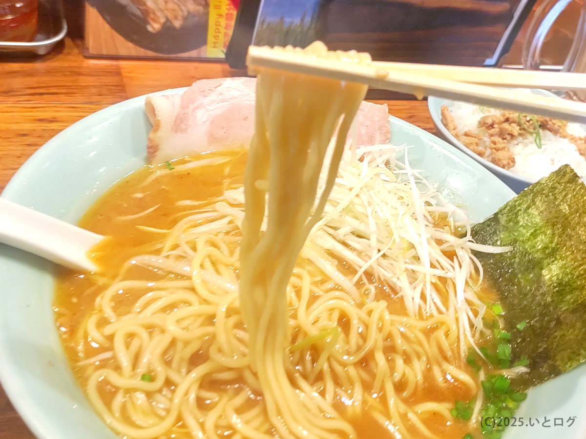 らーめん錦 大館本店のラーメンを麺リフトで撮影。大館ラーメンの中でも安定した人気を誇る一杯