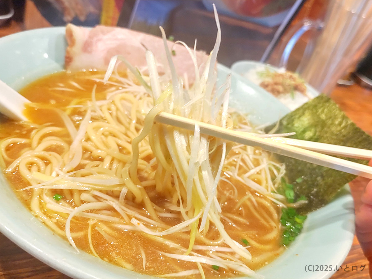白髪ネギがたっぷりのった、らーめん錦 大館のラーメン。シャキッとした食感がスープと好相性