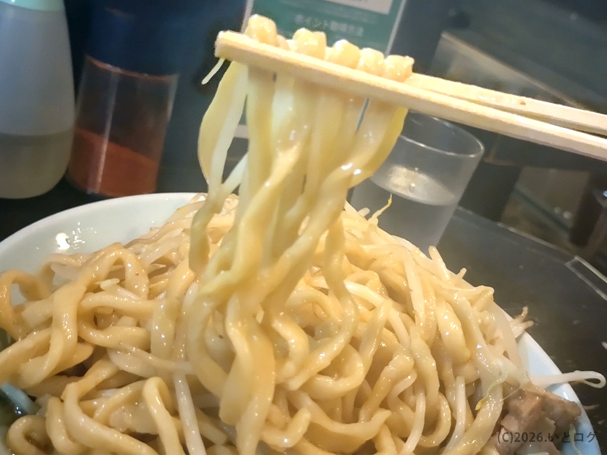 ラーメンマシンガンの太麺。麺量が多くガッツリ食べたい人向けのラーメン