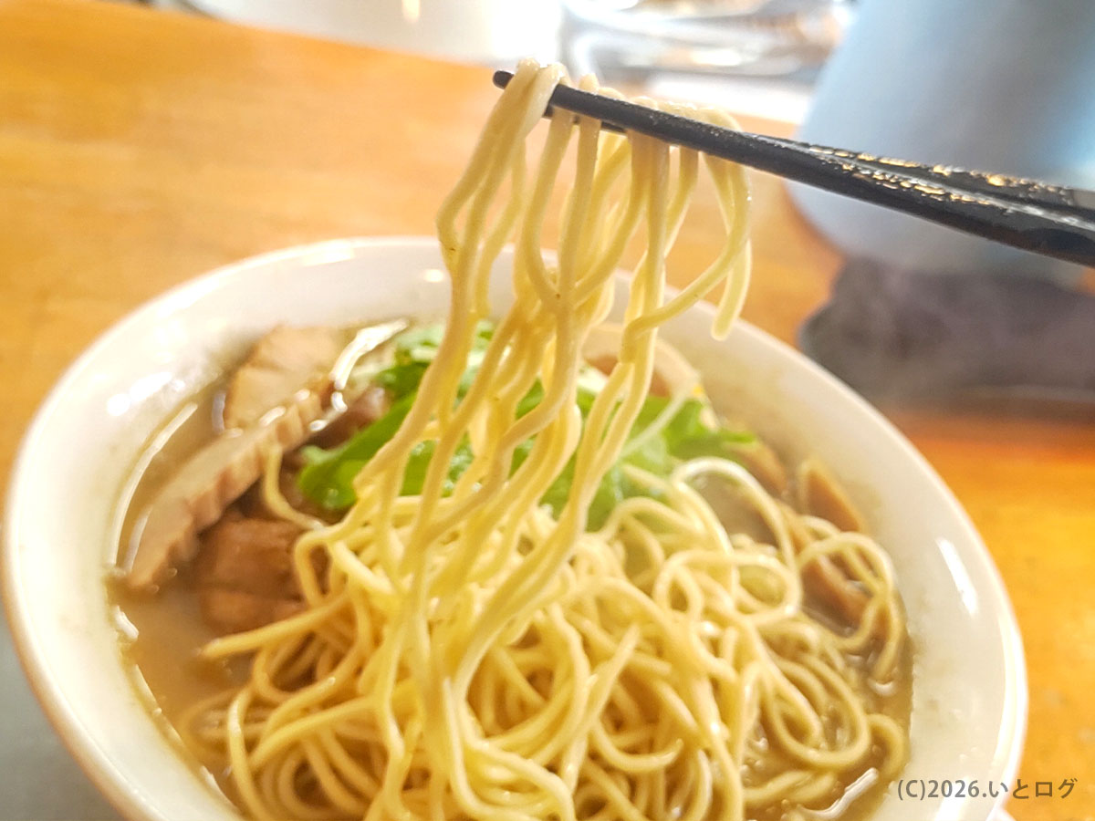 松韻 秋田ラーメンの麺を持ち上げた一枚。由利本荘市で味わう煮干し香る一杯