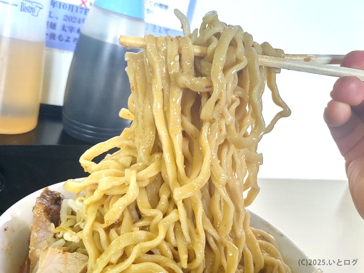 太宰本店 ラーメンの特徴的な自家製麺。甲斐市の太宰食堂 本店らしいコシのある太麺で、汁なしやスープとも抜群の相性。