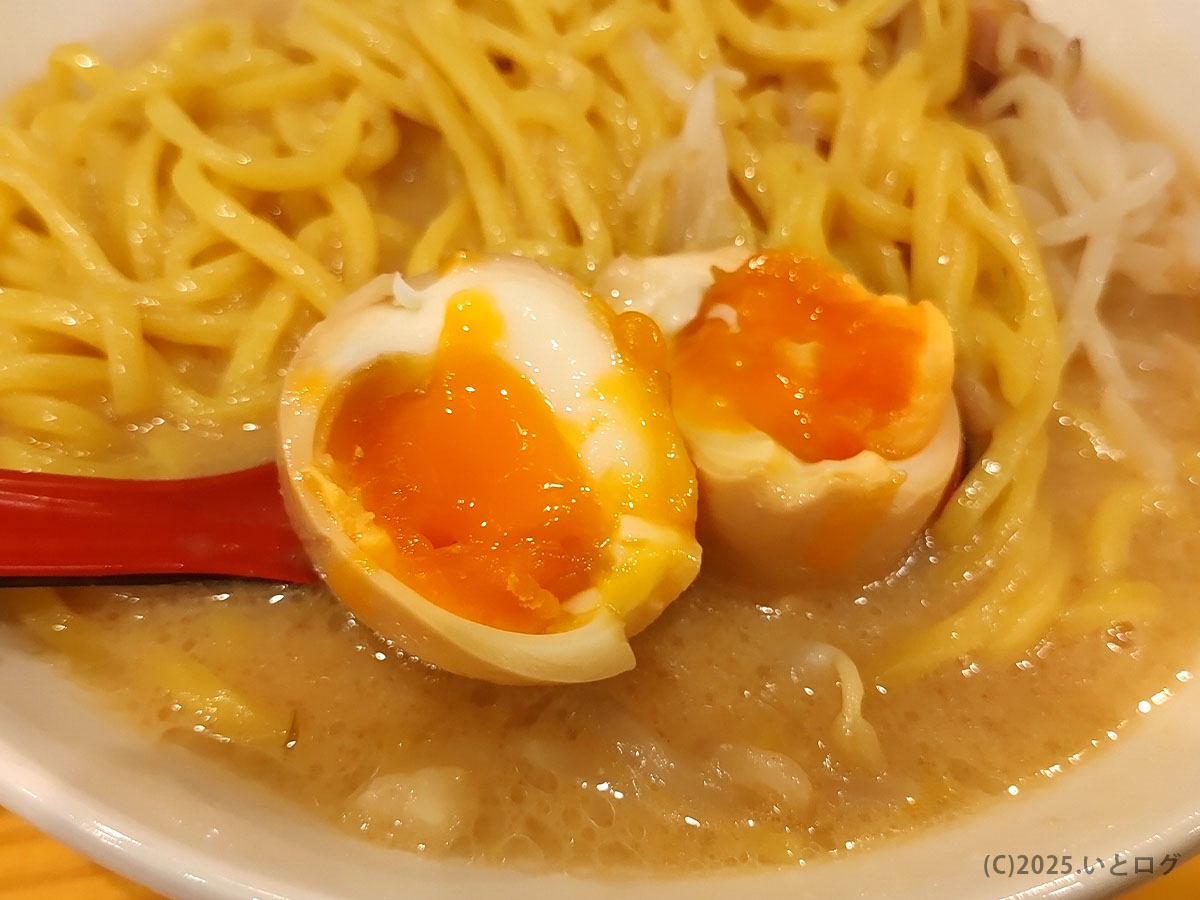 とろりと黄身があふれる半熟煮卵。花木流味噌 山梨総本店の山梨 味噌ラーメンに欠かせない人気トッピング。