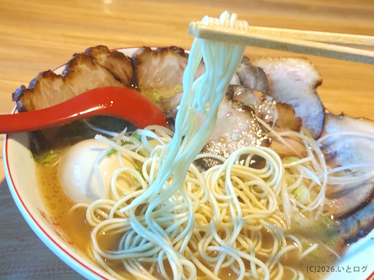 水田商店の豚骨ラーメンの麺を持ち上げた様子、濃厚スープとの絡みが伝わる一枚