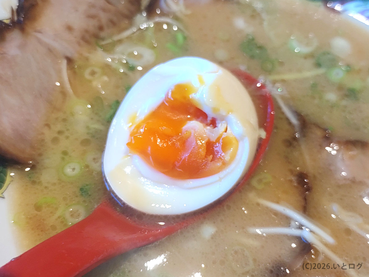 水田商店のラーメンにのる味玉、豚骨スープに映える半熟の断面