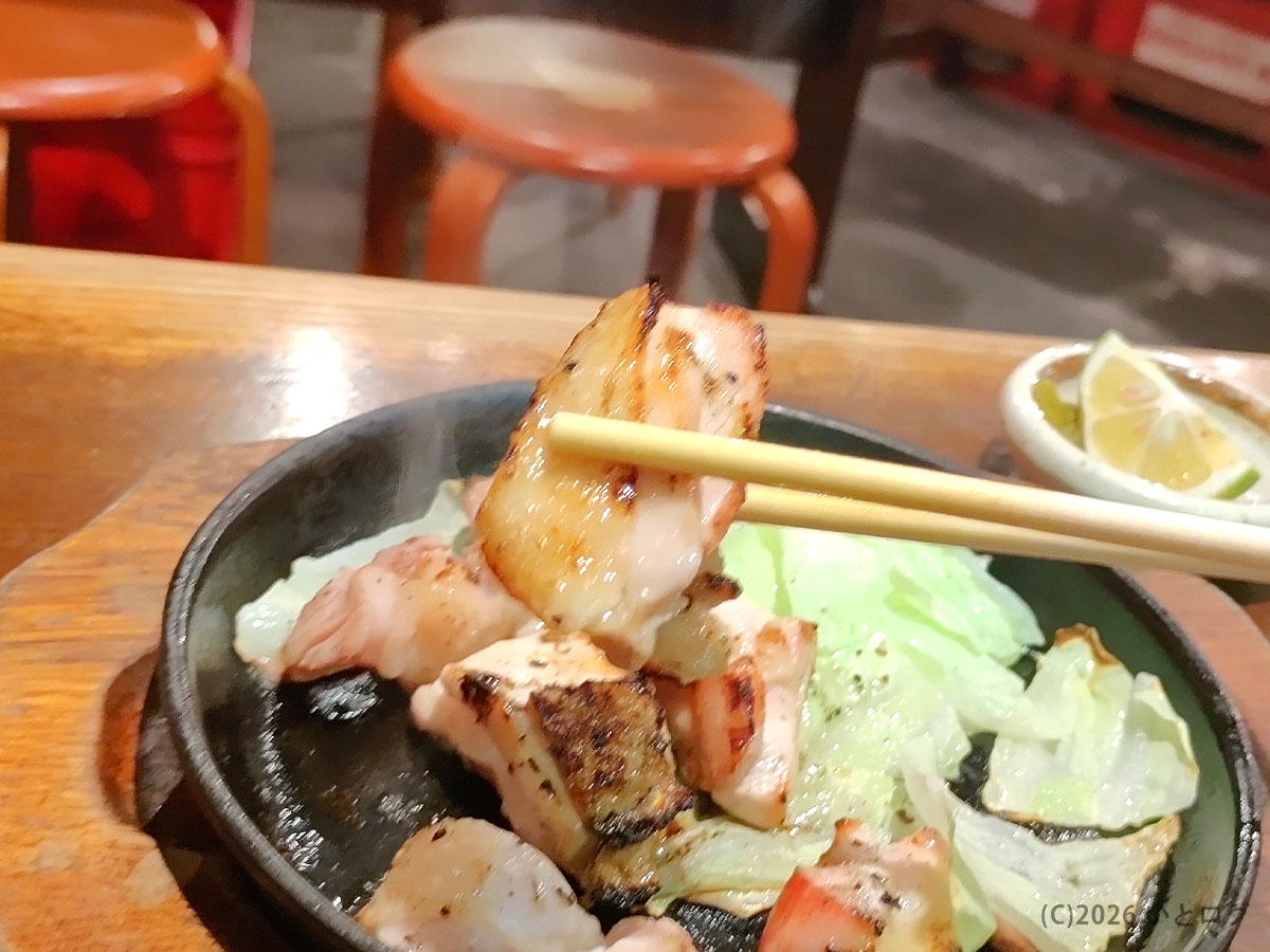 松山の大衆酒場で味わう鉄板焼きの肉料理。愛媛大衆酒場 エビスの人気メニュー